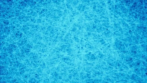 Network of neurons. Spider's digital web. Internet connected to each other.  Stock Footage 246682272