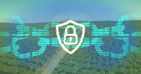 Network overlay fading initiating data streaming swirling into shield securing Stock Footage 314867537