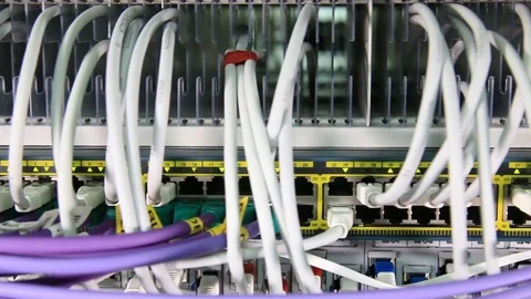 Network panel, switch and cable in data center 動画素材 72814612