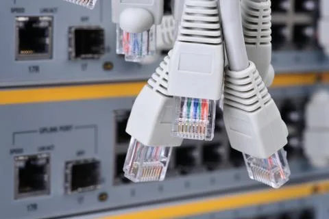 Network patch cord cable RJ45 connectors Stock Photos