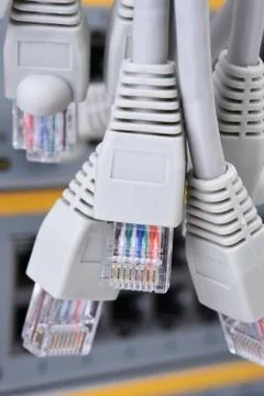 Network patch cord cable RJ45 connectors Foto stock