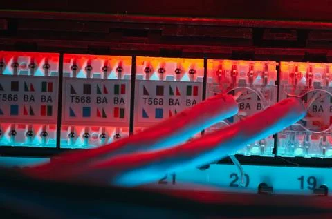 Network patch panel from the rear with two cables punched Foto stock