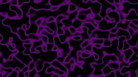 Network pattern animation with purple lines. Network pattern abstract digit.. Stock Footage 337622447
