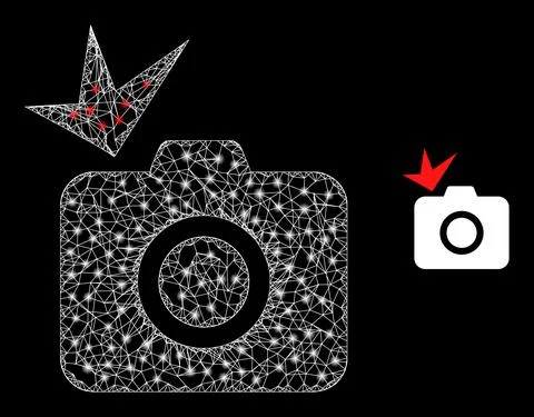Network Photo Flash Mesh Icon with Glare Lightspots Illustrazione stock