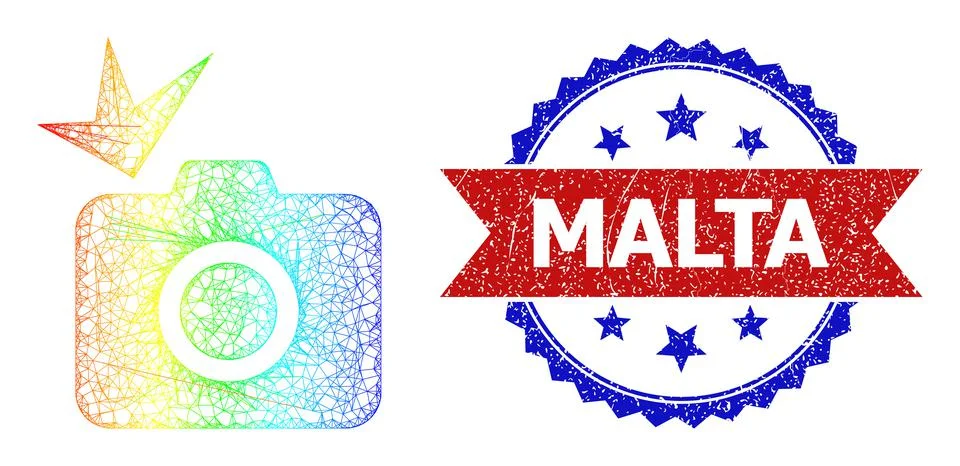 Network Photo Flash Web Mesh Icon with Spectrum Gradient and Scratched Bicolor Stockillustratie