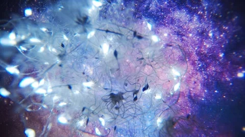 Network of real neurons in the brain thinking process Stock Footage 145709036