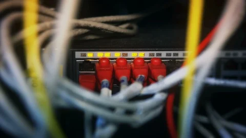 Network Red Cable Connection Light Stock Footage 96281562