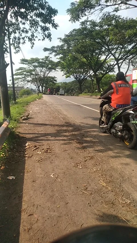 Network of roads Vídeo Stock 229236113