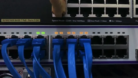 Network Server with Cables and Green Led Lights Stock Footage 112322061