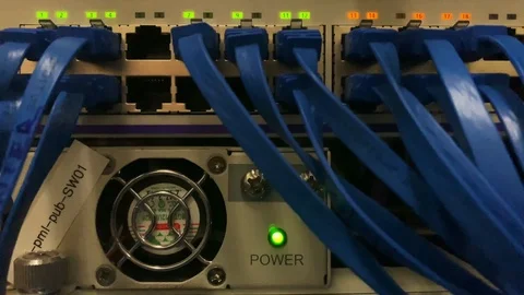 Network Server Stockbeeldmateriaal 111311705