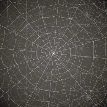 Network of several cobwebs on a gray background 스톡 일러스트