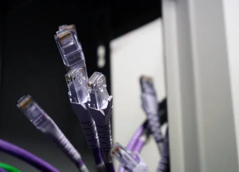 Network switch cables Stock Photos