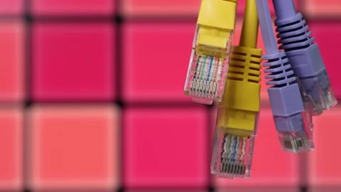 Network technology concept with colored ethernet cables Stock Footage 345485269