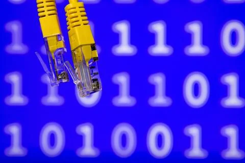 Network technology concept with ethernet cables and binary code Photos