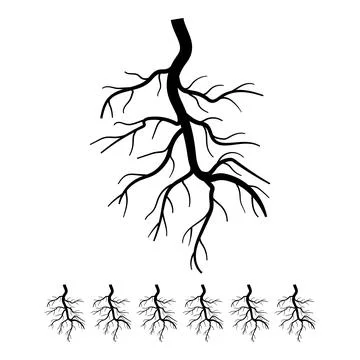 Network tree root cartoon vector graphic Stock Illustration
