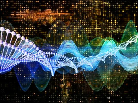 Network Waves Stock Illustration