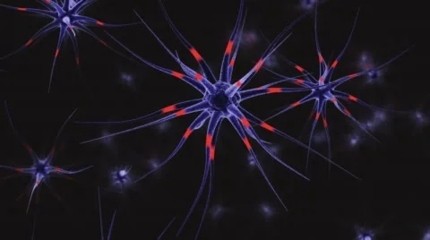 Neural cell, cell, living organism, neuron, 3d render Stock Footage 67631663