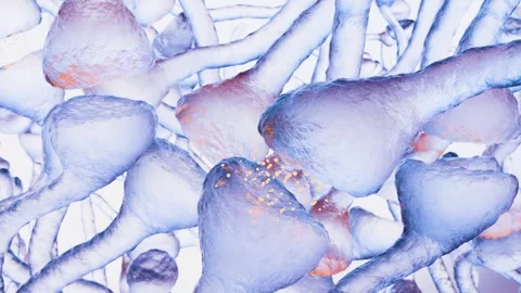 Neural Cells and Synaptic Connections Showing Brain Signal Transmission 動画素材 337696966