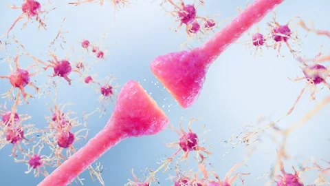 Neural Cells and Synaptic Connections Showing Brain Signal Transmission 動画素材 337698513