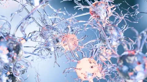 Neural Communication Pathway: Electrical Impulse Transmission Between Synapses 動画素材 337696766