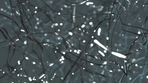 Neural Connections Stock Footage 197000300