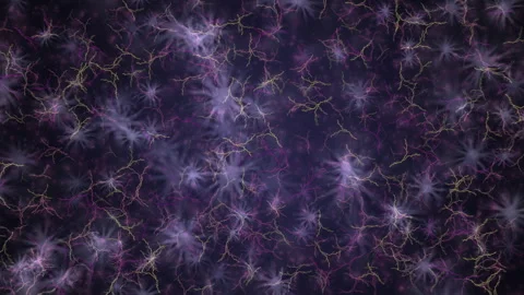 Neural Connections Synaptic Branches in Abstract Neural Network Visual Stock Footage 305172106