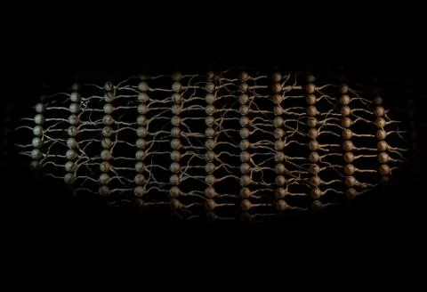 Neural net. Neuron network. 3d illustration Illustrazione stock