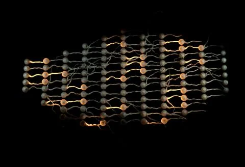 Neural net. Neuron network with links. 3d illustration Stock Illustration