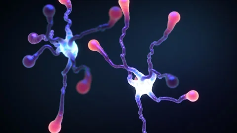 Neural network and brain signal visualization: AI and human brain concept Stock Footage 320902844