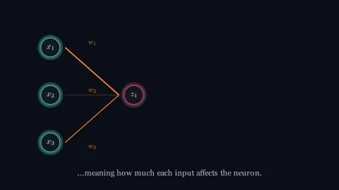 Neural Network Architecture Видео 338030222