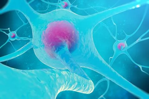 Neural network, brain cells, nervous system. 3d illustration Stock Illustration