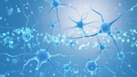 Neural Network Close-Up: Synaptic Connections and Neurons in Blue Hues Stock Footage 339051215