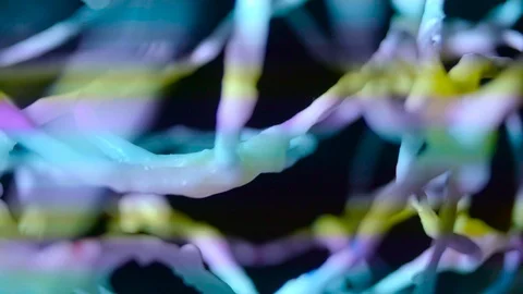 Neural network color mind expanding brain cells real footage Stock Footage 104189092