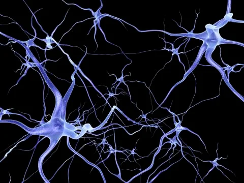 Neural network, computer artwork Stock Illustration