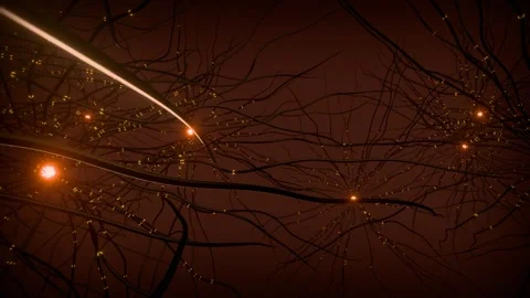 Neural Network Connections in Signals, Looping Animation Stock Footage 294051371