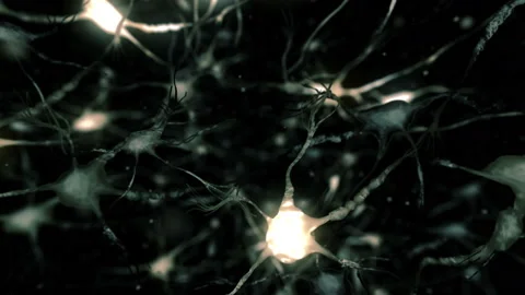 Neural network fly through Stock Footage 87253015