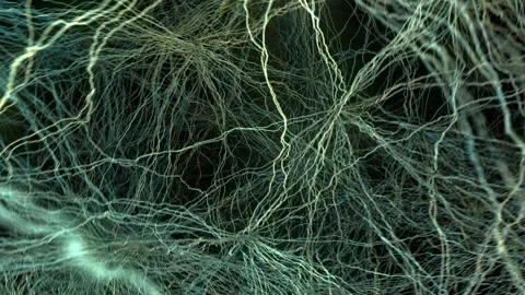 Neural network in the human brain. Stock Footage 138314548