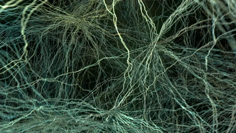 Neural network in the human brain. Video stock 138315640