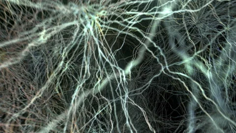 Neural network in the human brain. Stock Footage 138885802