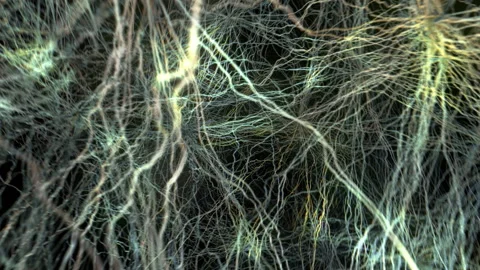 Neural network in the human brain. Stock Footage 138891054