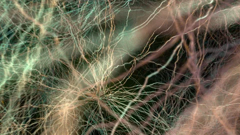 Neural network in the human brain. Stock Footage 140028532