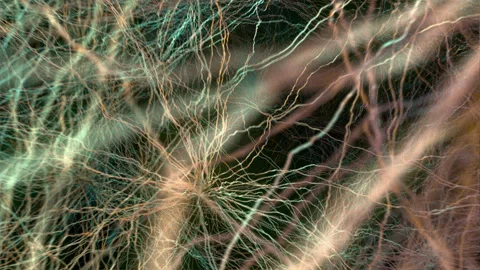 Neural network in the human brain. Stock Footage 140031228