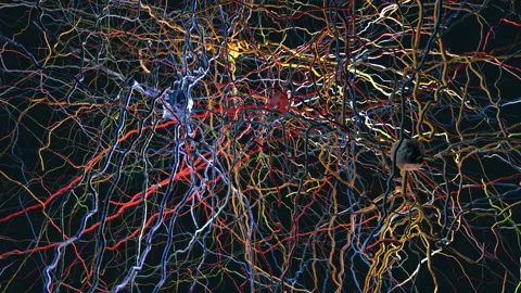 A neural network with neuronal connections transmitting synapses, neurons o.. Stock Footage 247399036