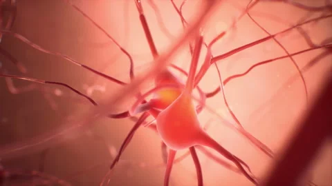 Neural Network Neurons Видео 130206579