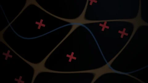 Neural Network Pathway Animation with Blue Signal Line and Red Markers Stock Footage 343742070