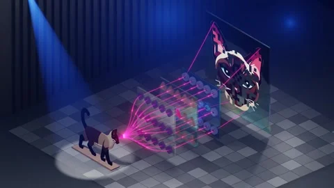 Neural Network Work Principle : Visualization of Image Recognition Process Stock Footage 265243087