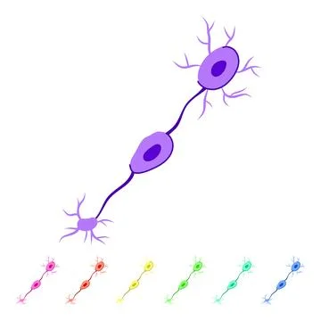 Neural neurons vector cartoon graphic Stock Illustration