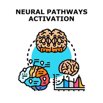 Neural pathways activation depicting brain activity and intelligence Stock Illustration