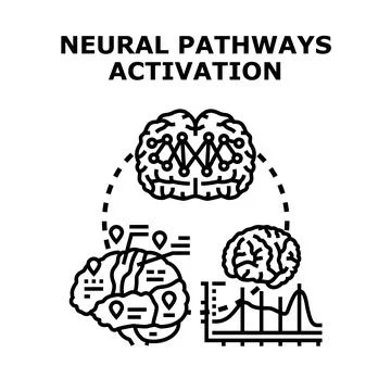Neural pathways activation depicting brain activity and intelligence Stock Illustration