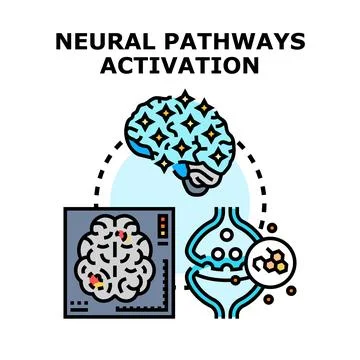 Neural pathways activation vector concept illustration Stock Illustration